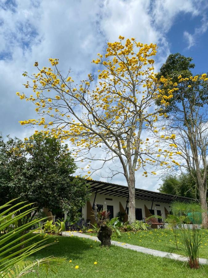 أرمينيا Baum Hotel المظهر الخارجي الصورة